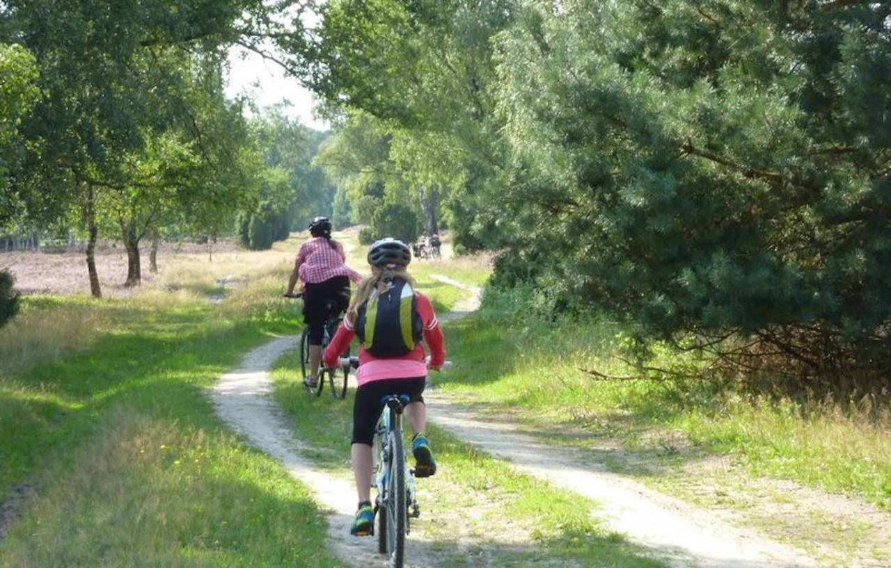 Ferienhaus Luneburger Heide Eschede Buitenkant foto