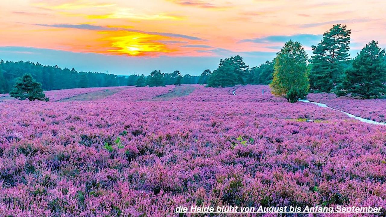 Ferienhaus Luneburger Heide Eschede Buitenkant foto